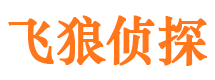 平遥市场调查